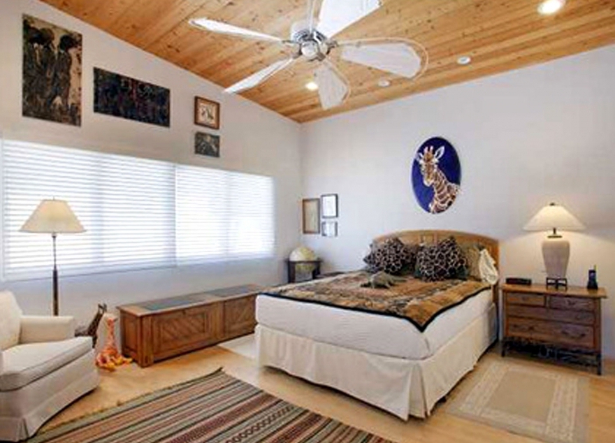 Shaun White drops $3.85 million on Encinitas beach home