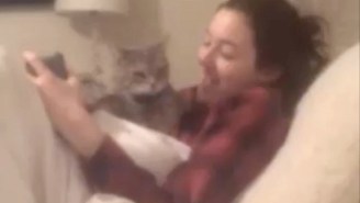 This Girl’s Cat Does Not Appreciate Her Rendition Of ‘Buy You A Drank’
