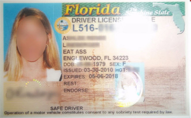 check driver license status miami fl