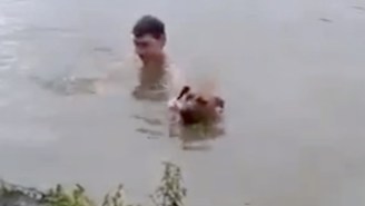 This Hero Dog Valiantly Attempts To Rescue His Owner Who He Thought Was Drowning