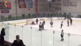 Watch This Hockey Dad Go Crazy And Break The Glass At A Youth Hockey Game