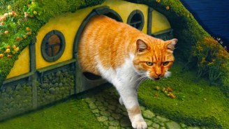 This Lord Of The Rings-Themed Hobbit Hole Cat Litter Box Is Pretty Purrrfect