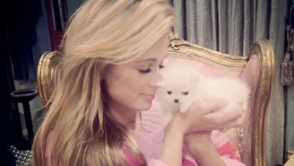 Paris Hilton Named Her New Puppy After Herself. We Have Reached Peak Paris Hilton.