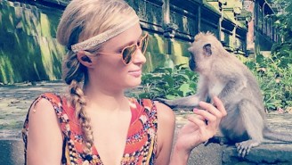Hey, Everybody! Watch This Monkey Jerk Off In Front Of Paris Hilton!