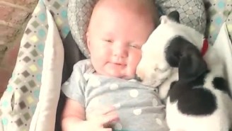 Feeling Down? This Puppy Cuddling With An Infant Is Here To Cheer You Up.