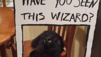 The Coolest Friend Ever Turned This House Into A Discount ‘Harry Potter’ World As A Birthday Surprise