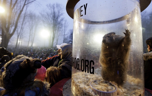 Punxsutawney Phil Makes Annual Forecast On Groundhog Day