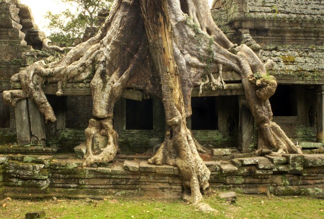 The Temples of Angkor Wat