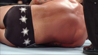 WWE Released A Statement Denying CM Punk’s Allegations Backed By This Carefully Crafted Video Of Butts
