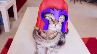 Magneto Cat May Just Be The Most Terrifyingly Destructive Supervillain Ever