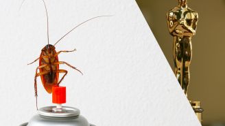 Some Rain And A Few Non-Medical Roaches Could Crash The Oscars Tonight
