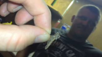 Watch These People Remove A Live Moth That Had Been Buried In This Guy’s Ear