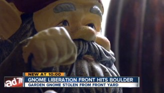 The Gnome Liberation Front Liberated A Garden Gnome From A Boulder Couple’s Yard