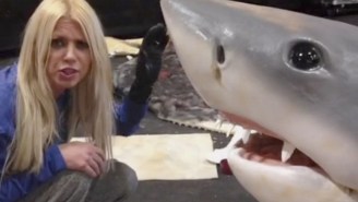 Tara Reid’s Vines From The Set Of ‘Sharknado 3’ Are Everything You Could Ever Hope For