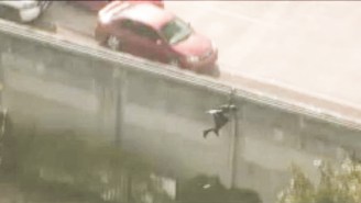 This High Speed Chase From Florida Has A Bonkers Ending That Includes A Leap Of Faith And The Family Dog