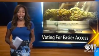 Police Raided The Cannabis Club Run By The Alaskan Reporter Who Dramatically Quit Live On-Air