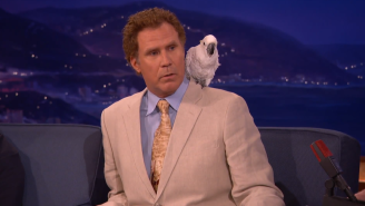 Don’t You Dare Ask Will Ferrell About His Pet Cockatoo, Professor Feathers