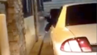 This Woman Lost Her Damn Mind And Screamed ‘Suck My Dick’ At A Taco Bell Drive Thru