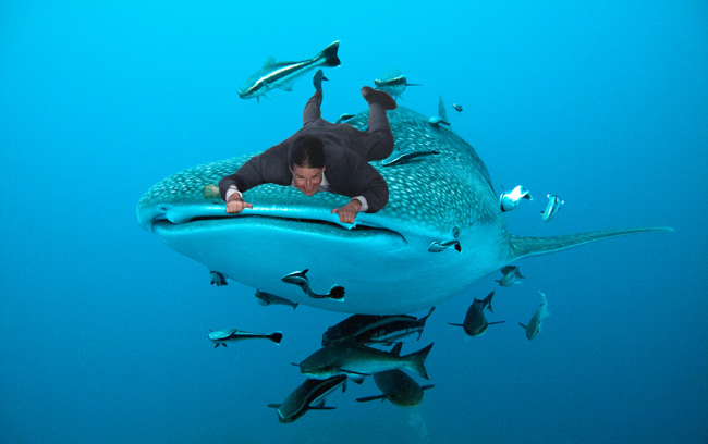 Tom-Cruise-Whale-Shark