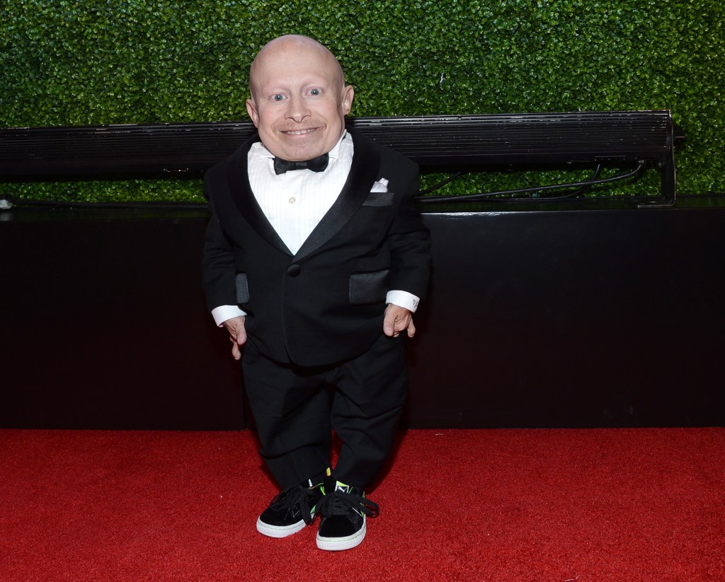 Verne Troyer Suffered A Seizure At A Comic Con In Texas(02)