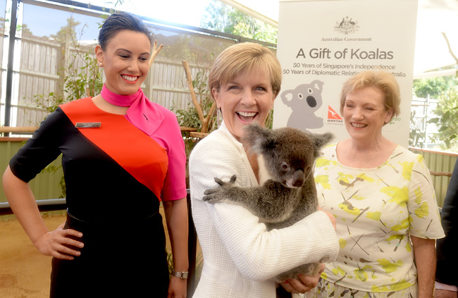 Julie Bishop Gifts Four Koalas To Singapore