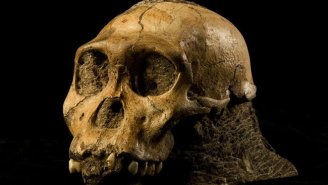 Much Of What We Knew About Early Human Evolution Might Be Wrong