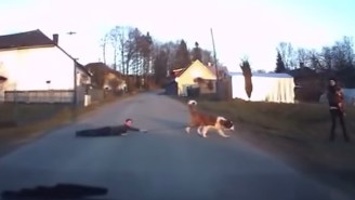 Watch This Russian Dash Cam Footage Of A Dog Walking A Child