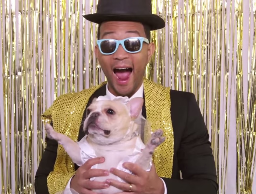John Legend Will Sing At The Dog Wedding Of Your Dreams