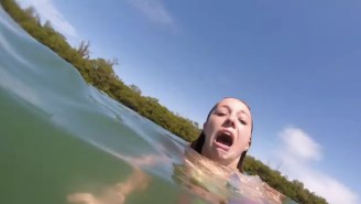 Watch This Spring Breaker Freak The Hell Out When A Manatee ‘Attacks’ Her