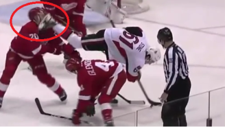 A Red Wings Player Took A Skate Blade To The Face And The Results Were Predictably Gruesome