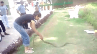 Watch This Fearless Woman Catch A Dangerous Snake With Her Bare Hands