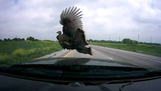 This Guy’s Dashcam Caught The Moment He Obliterated A Turkey