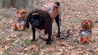 This Pug Dressed As Michonne From ‘The Walking Dead’ Is The Pug You Deserve