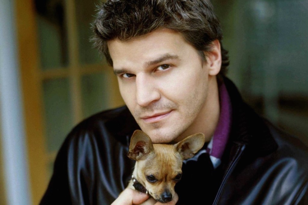 Happy Birthday, David Boreanaz! Remember That Time You Hijacked an