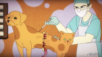 ‘Scientifically Accurate CatDog’ Might Be The Thing That Actually Ruins Your Childhood