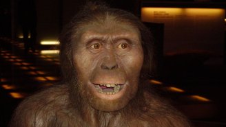 We’ve Found A New Human Ancestor, And It’s Changing How We View Human Evolution