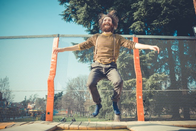 bearded-trampoline