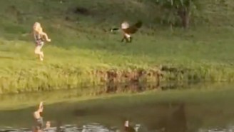 This Mean But Also Hilarious Dad Tricked His Daughter Into Pissing Off A Goose