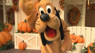 Disneyland’s Pluto The Dog Allegedly Put A Kid In The Hospital
