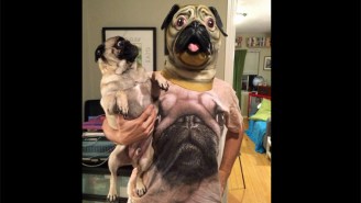 Behind The Viral Image: ‘Pug Man’ Tells The Story Behind His High-Level Dog Troll