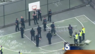 A Man Got Stuck In A Basketball Hoop And It Took 13 Police Officers To Get Him Down