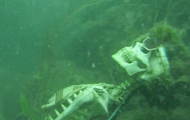 VIDEO: Sheriff Finds Underwater Skeleton 'Weekend At Bernie's' Party