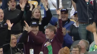 Watch This Guy At Baseball Game Catch A Bat With One Hand And Not Spill His Beer