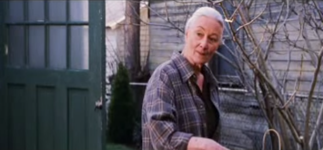 Spider-Man Aunt May