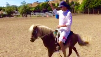 Stephen Curry Is Preparing For The NBA Finals By Riding A Mini Horse