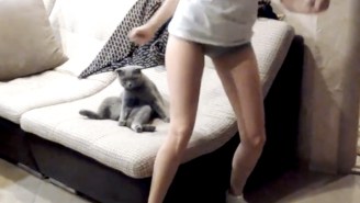 This Cat Is Decidedly Unimpressed With Girl’s Twerking Performance