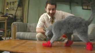 From Kitten Mittons To Rum Ham: These Are The Best ‘It’s Always Sunny In Philadelphia’ Inventions