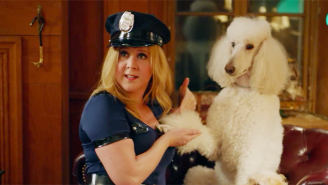 Amy Schumer Would Like You To Bid On A ‘Disappointing Lap Dance’ For Charity
