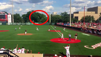 This 90-Foot Bat Flip Is The Greatest Baseball Walk-Off Celebration