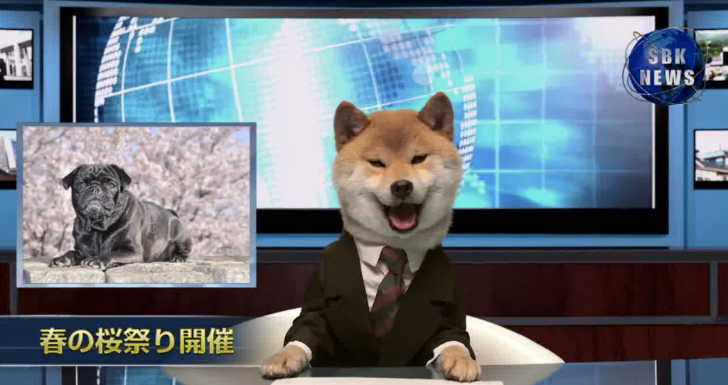 news anchor dog interview